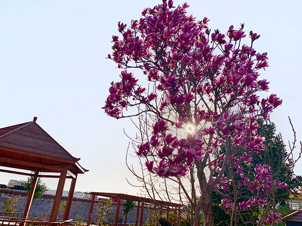 養老公寓院內環境